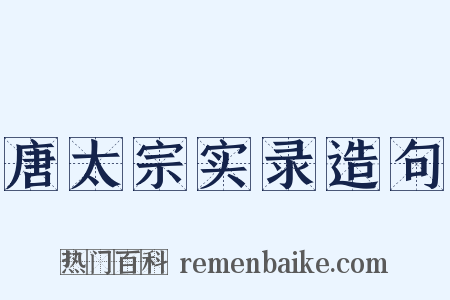 唐太宗实录造句是什么意思的图片